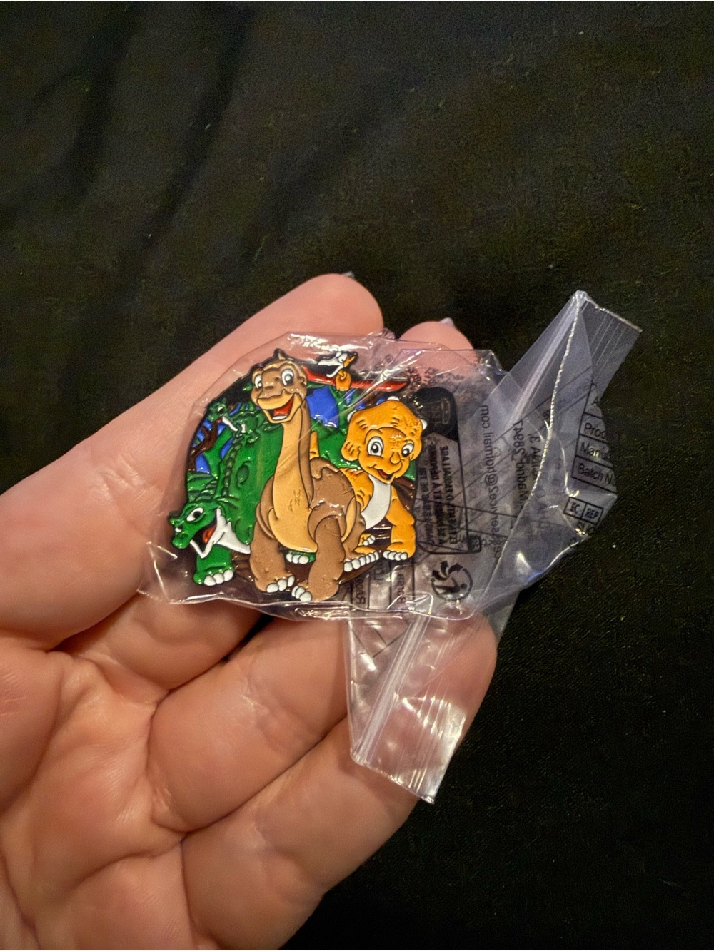 🌟Bundle Sale Land Before Time Pin